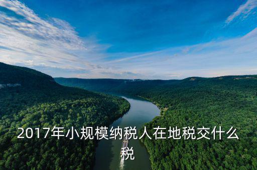 2017年土地稅如何征收，2017年小規(guī)模納稅人在地稅交什么稅