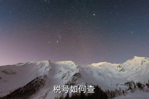 如何查詢公司稅務(wù)編號(hào)查詢，如何通過企業(yè)注冊(cè)號(hào)查詢企業(yè)稅務(wù)登記證號(hào)