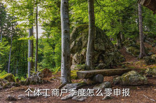 個體戶地稅如何零申報，個體工商戶地稅零申報怎樣報