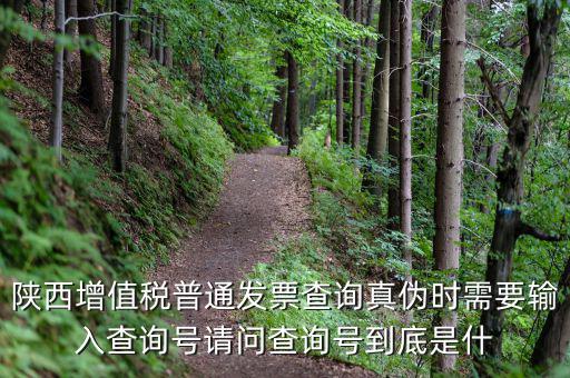 陜西省普通發(fā)票如何查詢系統(tǒng)，陜西國稅發(fā)票查詢號是做什么的