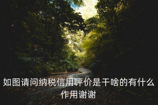稅務(wù)如何評(píng)定信用如何打分，哪些涉稅行為會(huì)影響納稅信用等級(jí)評(píng)定