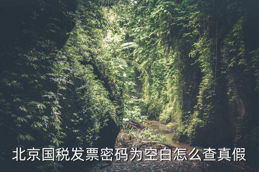北京國(guó)稅發(fā)票真?zhèn)稳绾尾樵?，北京?guó)稅發(fā)票密碼為空白怎么查真假