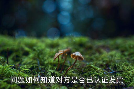 如何查對方是認(rèn)證發(fā)票嗎，怎么查自己開的發(fā)票對方有沒有認(rèn)證