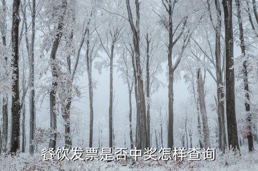 稅票中獎查詢?nèi)绾尾樵?，餐飲發(fā)票是否中獎怎樣查詢