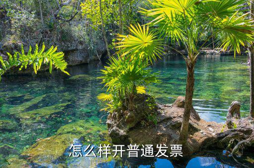 如何搞增值稅普通發(fā)票，怎么樣在電腦上開增值稅普通發(fā)票