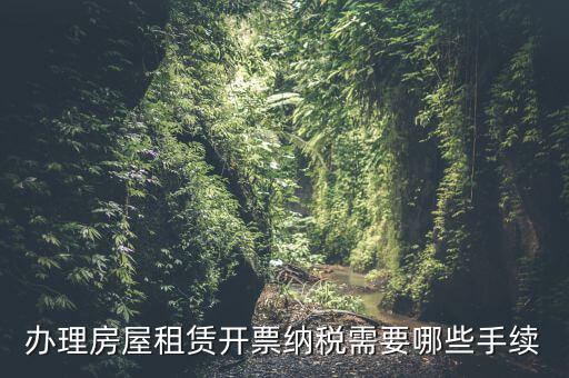 租房如何開增值稅專票，房屋租賃可以開增值稅專用發(fā)票嗎
