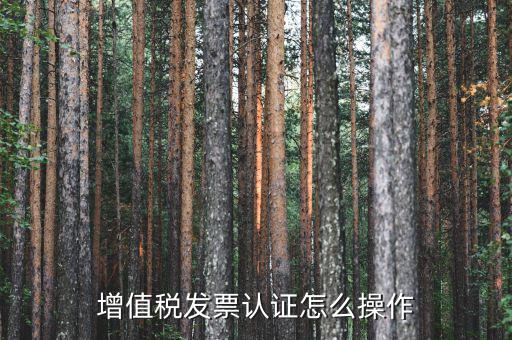 如何認證增值稅進項稅，進項稅怎么認證
