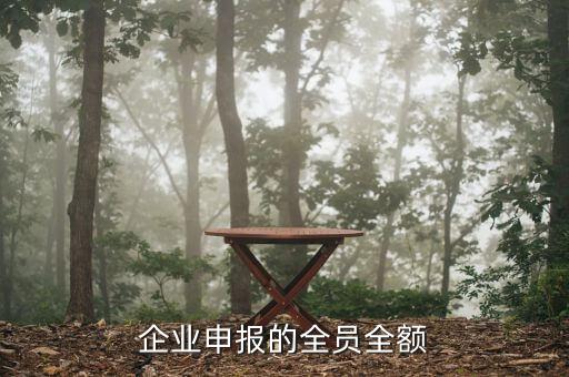 如何做好全員全額申報工作，報地稅里面的全員申報是怎么