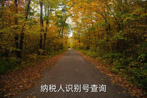 如何查公司納稅人識別號，納稅人識別號查詢