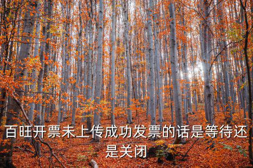 百旺未上傳發(fā)票如何上傳，百旺開票軟件怎么查詢發(fā)票是否已上傳