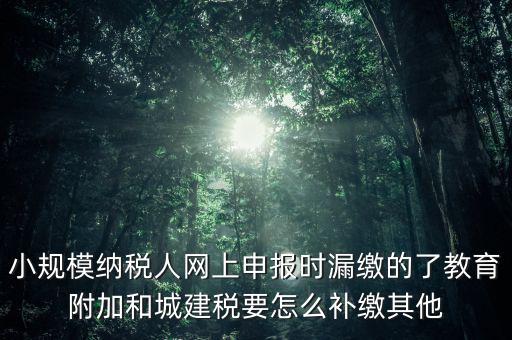 過(guò)了征期如何補(bǔ)交城建稅，請(qǐng)問(wèn)城建稅忘記交怎么辦