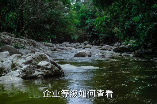 如何查詢企業(yè)稅務(wù)信用等級(jí)，企業(yè)等級(jí)如何查看