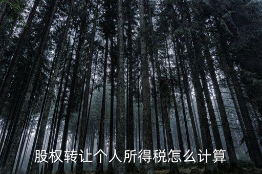 如何計算股權(quán)轉(zhuǎn)讓所得稅，股權(quán)轉(zhuǎn)讓的個人所得稅怎么計算