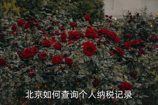 如何查詢北京國稅局納稅人狀態(tài)，如何進(jìn)行北京市A級納稅人信用查詢