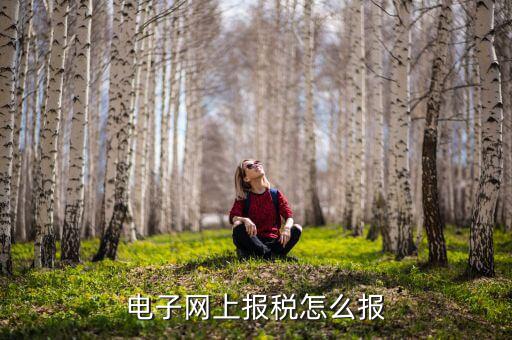 電子網上報稅怎么報