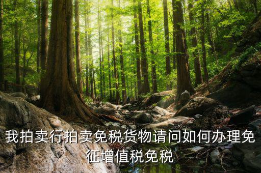 拍賣行免稅貨物如何界定，司法拍賣價(jià)格是否包含增值稅