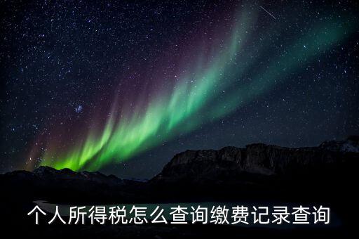 金稅三期個人所得稅如何查詢，個人所得稅怎么查詢繳費記錄查詢