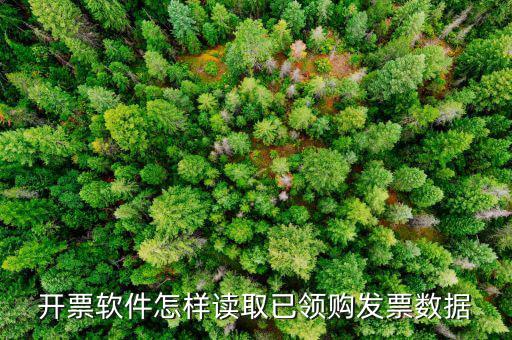 發(fā)票數(shù)據(jù)如何采集，開票軟件怎樣讀取已領購發(fā)票數(shù)據(jù)