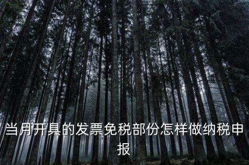 免稅和納稅如何申報(bào)，當(dāng)月開(kāi)具的發(fā)票免稅部份怎樣做納稅申報(bào)