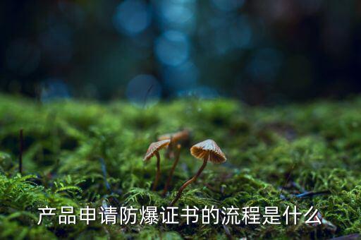 如何辦理防爆用地，產(chǎn)品辦理防爆認(rèn)證流程有哪些
