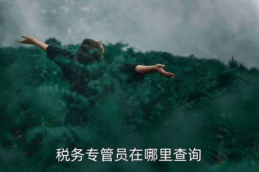 北京如何查詢稅務(wù)專管員，如何在網(wǎng)上查詢國稅專管員