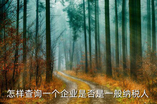 遼寧如何查一般納稅人，怎樣查詢一個(gè)企業(yè)是否是一般納稅人