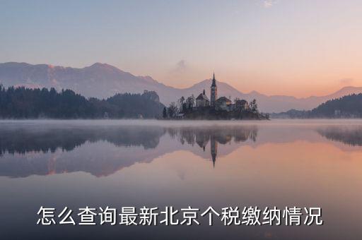 北京市 欠稅人員如何查詢，稅務欠稅信息如何查詢