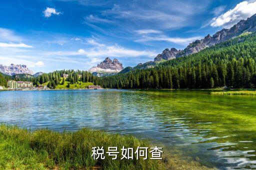 國際企業(yè)稅號如何查詢，老外要公司稅號他怎么查呢