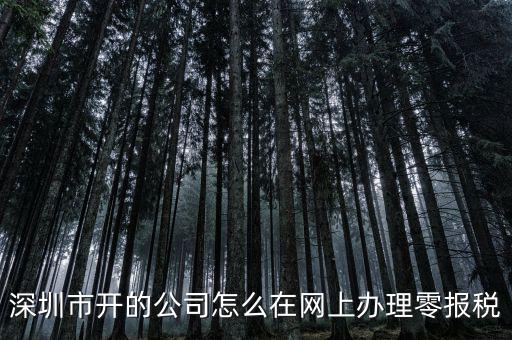 深圳如何在網(wǎng)上辦理納稅，深圳市開的公司怎么在網(wǎng)上辦理零報(bào)稅