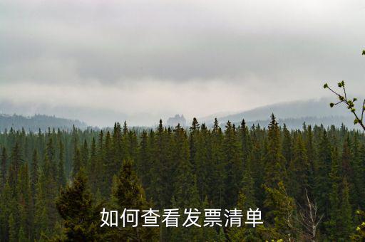 如何查詢發(fā)票明細(xì)表，如何查看發(fā)票清單