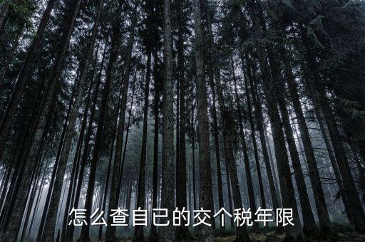 如何查詢(xún)納稅期限，怎么查自已的交個(gè)稅年限