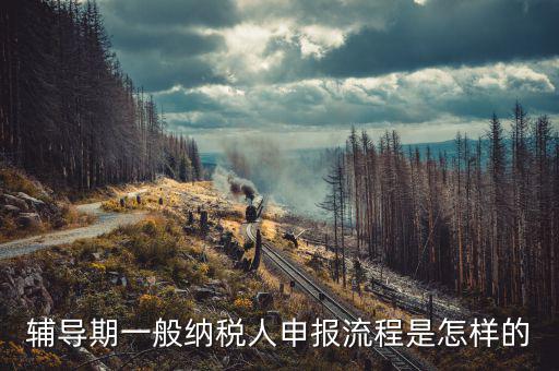 單位培訓(xùn)如何為授課人報稅，輔導(dǎo)期的報稅具體流程是怎么樣