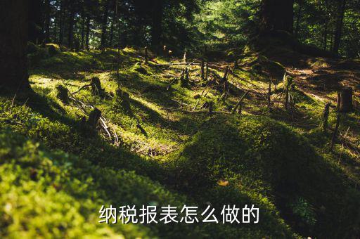 如何做數(shù)據(jù)報稅，在開普票里每月1號申報數(shù)據(jù)具體怎么弄的先點擊報稅再點