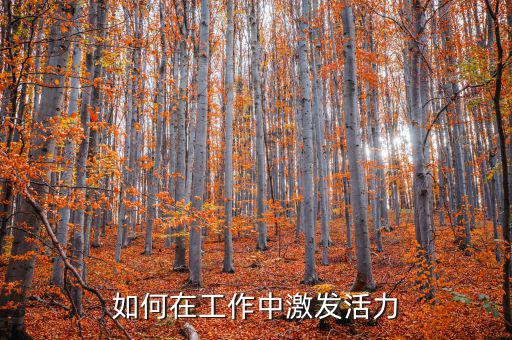 如何激發(fā)稅務(wù)干部的活力，在稅收工作中如何激發(fā)下屬的潛力