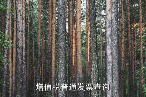 如何查詢增值稅普通發(fā)票，增值稅普通發(fā)票查詢