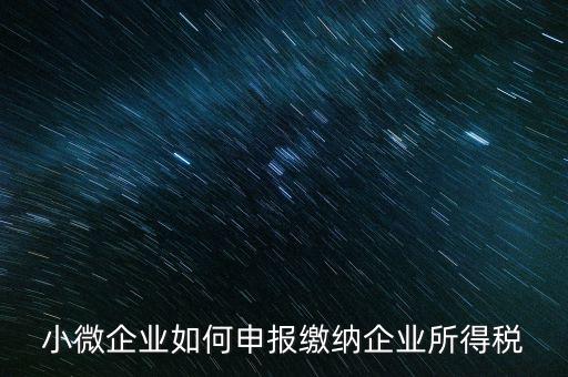 小企業(yè)如何繳納所得稅，小規(guī)模企業(yè)所得稅怎么交納