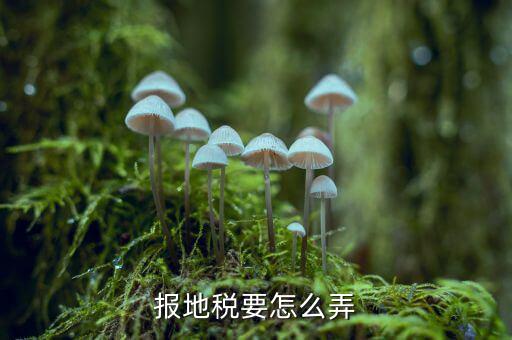 北京地稅存貨損失如何申報(bào)，北京的國(guó)稅和地稅的年報(bào)怎么做具體在網(wǎng)上什么位置以及流程有木