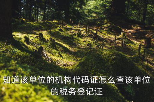 如何查企業(yè)稅務(wù)登記證號，公司的稅務(wù)登記證號怎么查詢