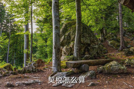企業(yè)合并契稅如何計算，求高手解答如何計算企業(yè)應繳納契稅并進行契稅的會計處理