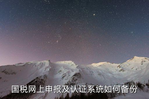 稅友申報軟件如何備份，國稅網(wǎng)上申報及認證系統(tǒng)如何備份