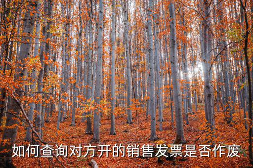 如何查詢發(fā)票是否有效，如何查詢對方開的銷售發(fā)票是否作廢