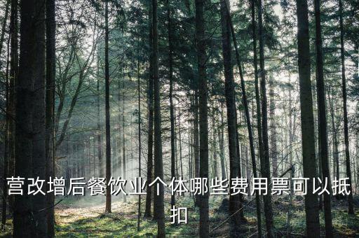 餐飲業(yè)如何抵扣，餐飲業(yè)無法向個人消費者開具增值稅專用發(fā)票那怎么抵扣進項稅