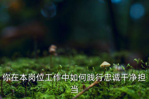 稅務干部如何講忠誠，如何做對黨忠誠個人干凈敢于的好干部