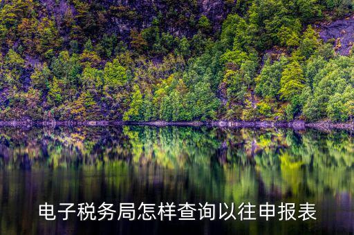 電子稅務(wù)局怎樣查詢以往申報表
