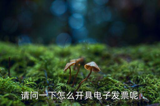 上海如何申領(lǐng)電子發(fā)票，請問一下怎么開具電子發(fā)票呢