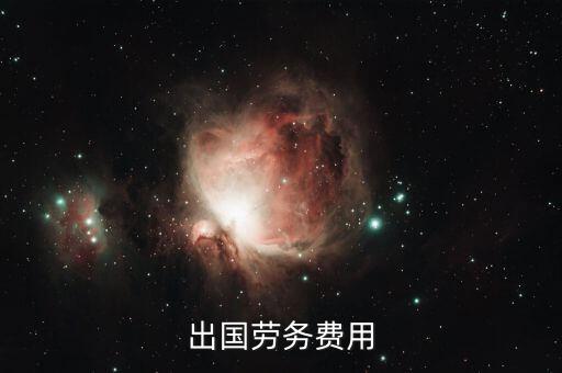 出國勞務(wù)費(fèi)用
