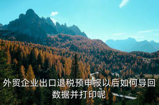 出口退免稅備案如何打印，外貿(mào)企業(yè)出口退稅預(yù)申報(bào)以后如何導(dǎo)回?cái)?shù)據(jù)并打印呢