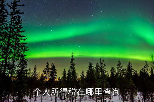 江蘇自然人如何查詢個稅繳納，個人稅怎么查