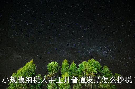 小規(guī)模納稅人開票系統(tǒng)如何抄報(bào)稅，小規(guī)模稅款控盤如何抄報(bào)稅