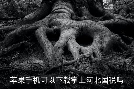 河北掌上國稅如何注冊，蘋果手機可以下載掌上河北國稅嗎
